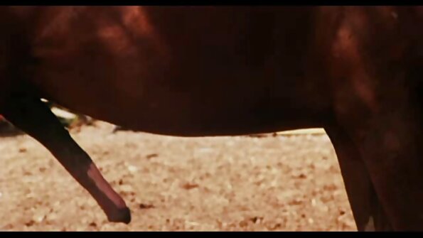 เลสเบี้ยนกำลังเรียนรู้ที่จะรักไก่ขนาดใหญ่และหนาใน Threesome